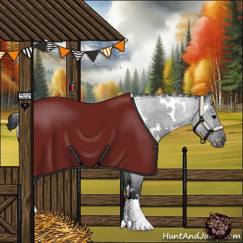 Horse Color:White Spotted Black Appaloosa 