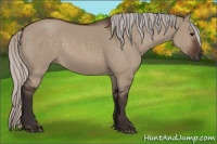 Horse Color:Silver Brown Dun