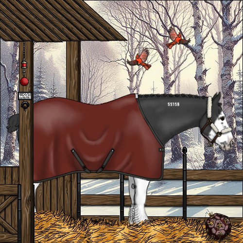 Horse Color:Black Splash Frame 
