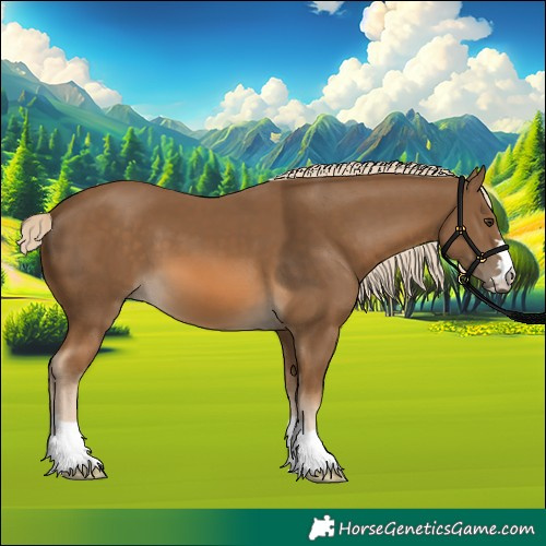 Horse Color:Chocolate Palomino 