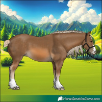 Horse Color:Chocolate Palomino 