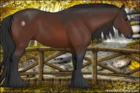 Horse Color:Brown 