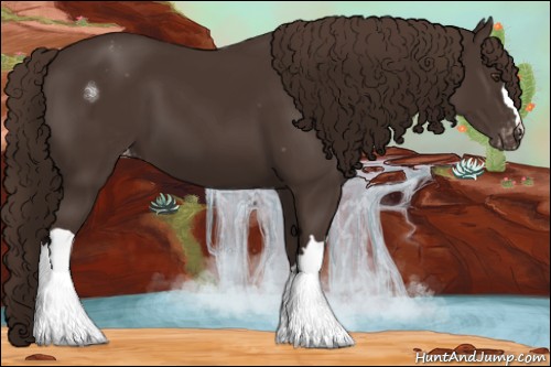 Horse Color:Liver Chestnut Appaloosa 