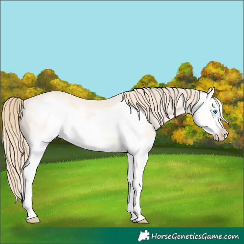 Horse Color:Perlino Dun Splash Frame 