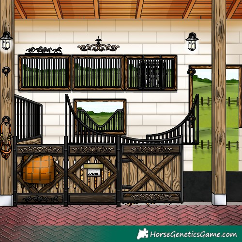 Horse Color:White Spotted Brown Splash Tobiano Rabicano 