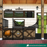 Horse Color:White Spotted Brown Splash Tobiano Rabicano 