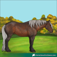 Horse Color:Silver Brown 