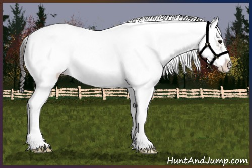 Horse Color:Smoky Grullo Sabino 