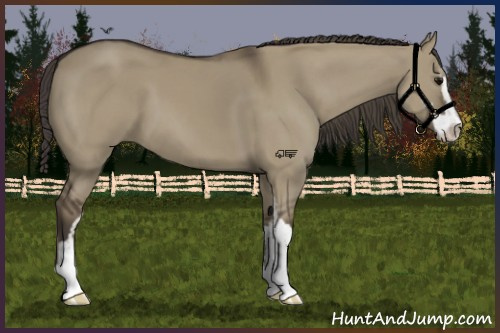 Horse Color:Smoky Grullo Sabino