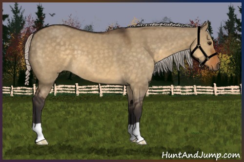 Horse Color:Silver Buckskin Dun 