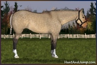 Horse Color:Silver Buckskin Dun 