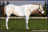 Horse Color:Buckskin Pearl Dun Sabino Tobiano 