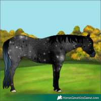 Horse Color:ERROR: UNKNOWN ANOMALY