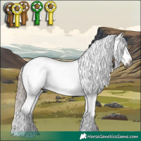 Horse Color:Gray White Spotted Liver Red Dun Mushroom Sabino Appaloosa 