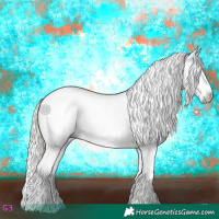 Horse Color:Gray White Spotted Chocolate Palomino Pearl Dun Mushroom Appaloosa