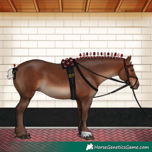 Horse Color:Silver Brown 