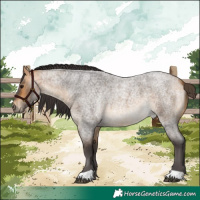 Horse Color:Buckskin Roan 