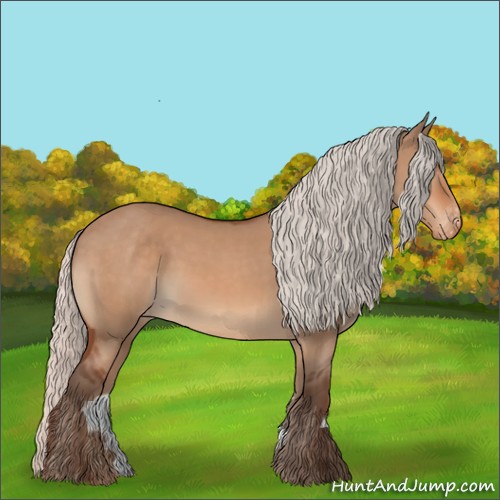 Horse Color:Silver Bay Dun Appaloosa 