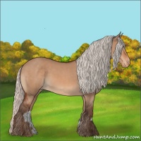 Horse Color:Silver Bay Dun Appaloosa 