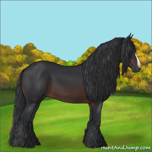 Horse Color:Brown 