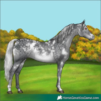 Horse Color:White Spotted Silver Black Chinchilla 