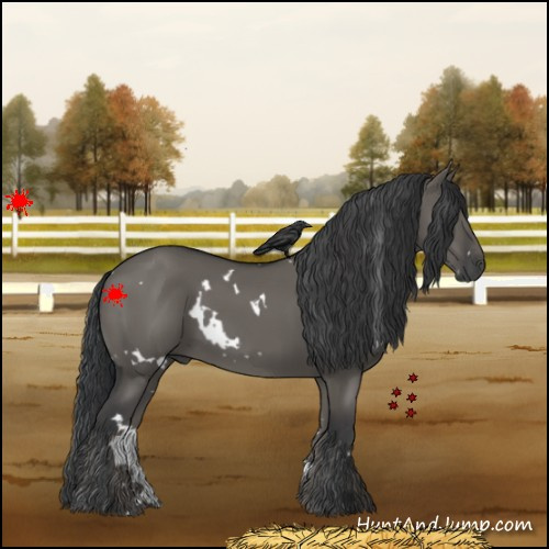 Horse Color:White Spotted Grullo 