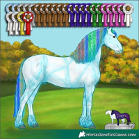 Horse Color:Painted Thunderstruck Chestnut Ice Sabino Appaloosa