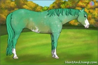 Horse Color:Watercolor Brown Sabino