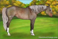Horse Color:Silver Brown Dun 