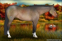 Horse Color:Brown Dun Sabino