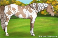 Horse Color:White Spotted Black Pearl 