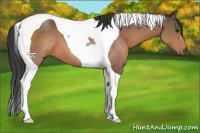Horse Color:Brown Tobiano