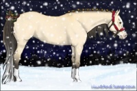 Horse Color:Buckskin Dun Splash 