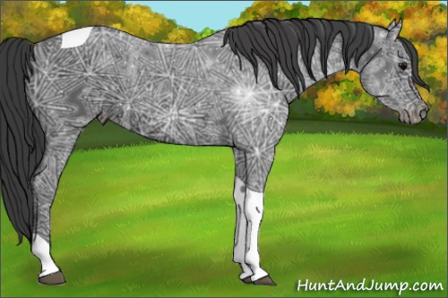 Horse Color:Black Ice Tobiano 