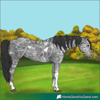 Horse Color:Black Ice Tobiano 