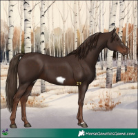 Horse Color:Liver Chestnut Frame 