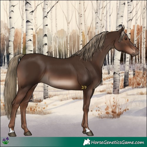 Horse Color:Liver Chestnut 