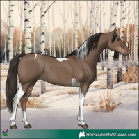 Horse Color:Liver Red Dun Tobiano Rabicano 