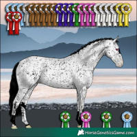 Horse Color:White Spotted Classic Champagne Chinchilla Ice Pearl 