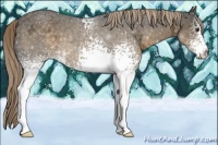 Horse Color:White Spotted Chocolate Palomino Ice 