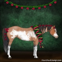 Horse Color:Bay Roan Splash Frame  and Bay Roan Splash Frame 