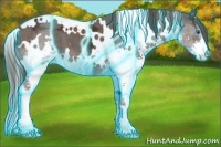 Horse Color:Thunderstruck White Spotted Liver Chestnut Ice Splash 