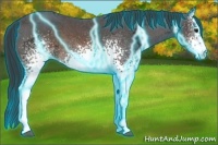 Horse Color:Thunderstruck White Spotted Buckskin Ice 