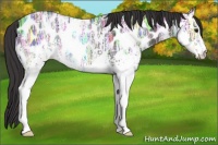 Horse Color:White Spotted Smoky Black Ice Near Leopard Rabicano 