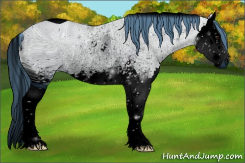 Horse Color:ERROR: UNKNOWN ANOMALY