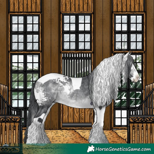 Horse Color:White Spotted Bay Chinchilla Tobiano