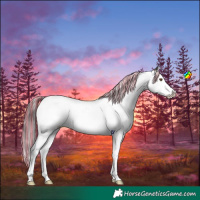 Horse Color:Painted White Spotted Brown Dun Splash 