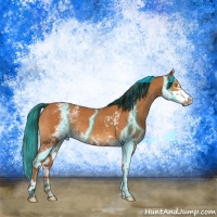 Horse Color:Painted Thunderstruck White Spotted Buckskin Splash 