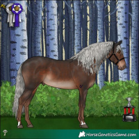 Horse Color:White Spotted Liver Chestnut Mushroom 