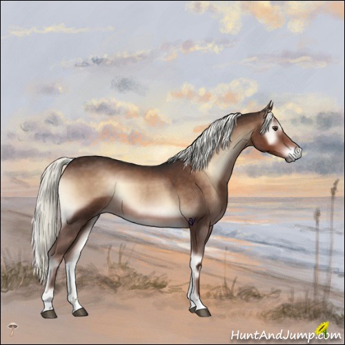 Horse Color:Liver Red Onyx Mushroom
